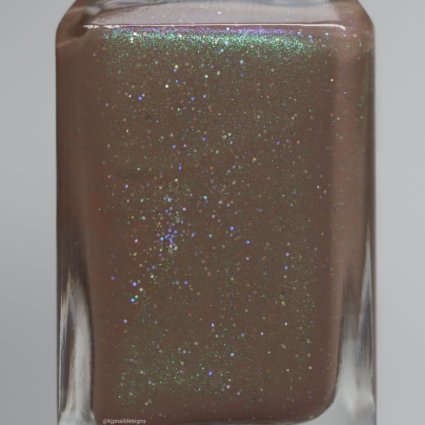 Petrified Wood - Limited Edition Prugly Polish Pals Custom Shade