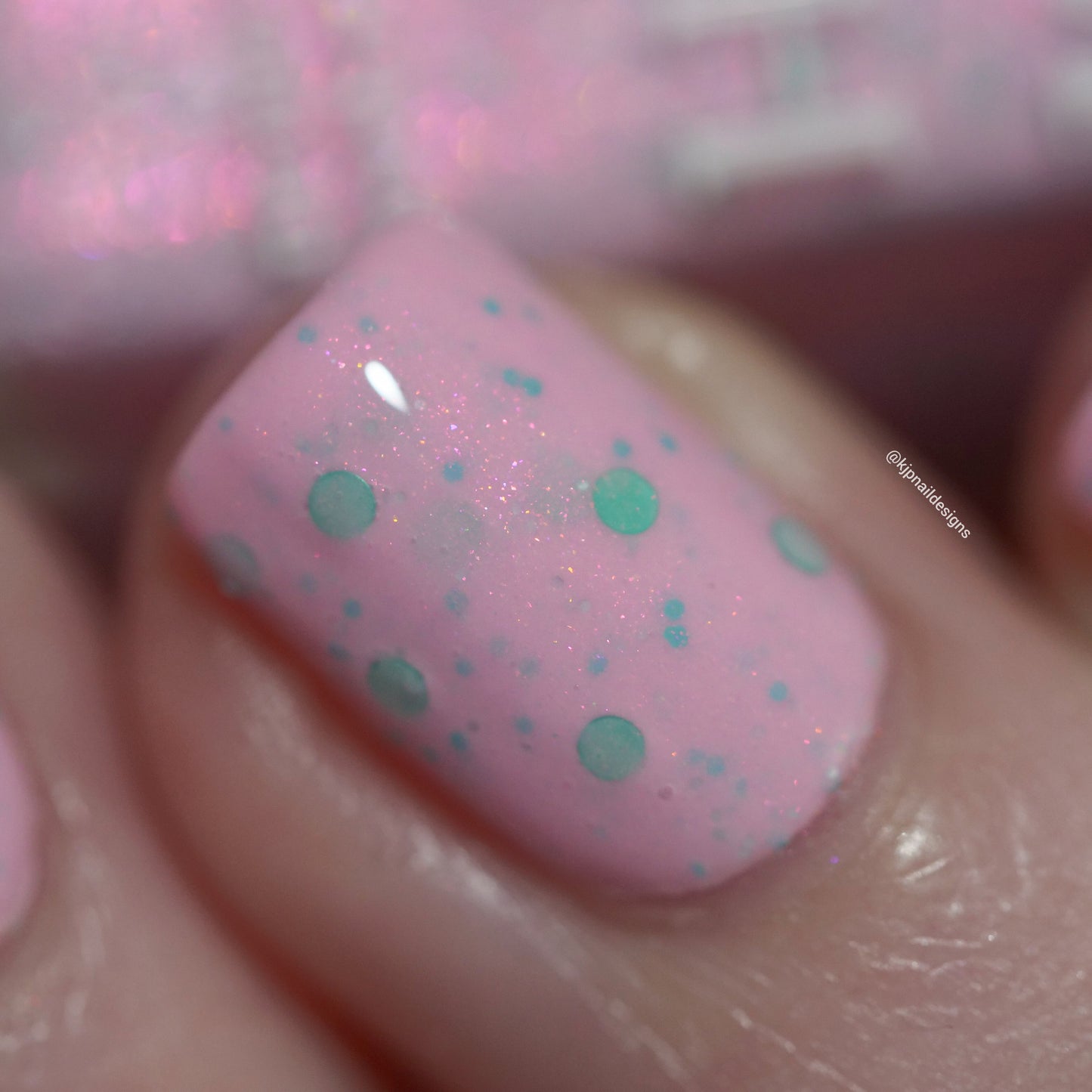 So Fetch! - Limited Edition