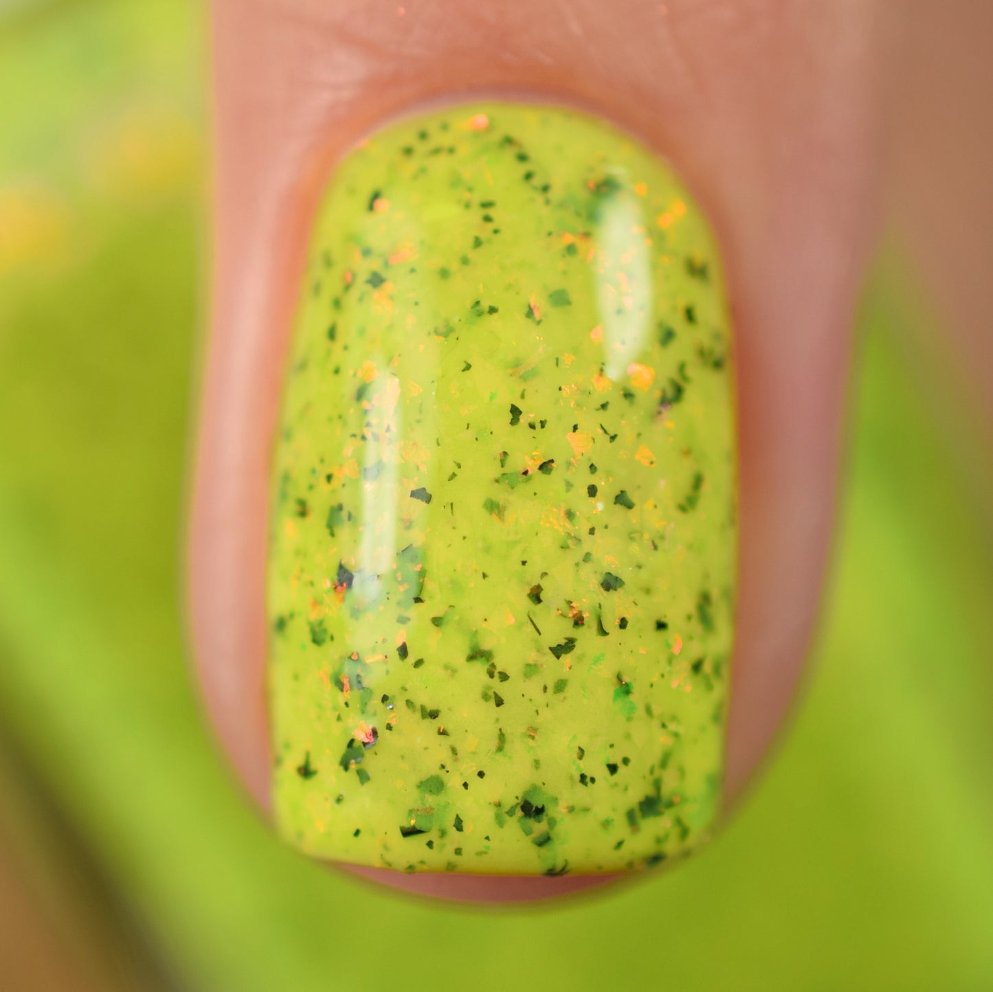 Oh Buoy! - Limited Edition