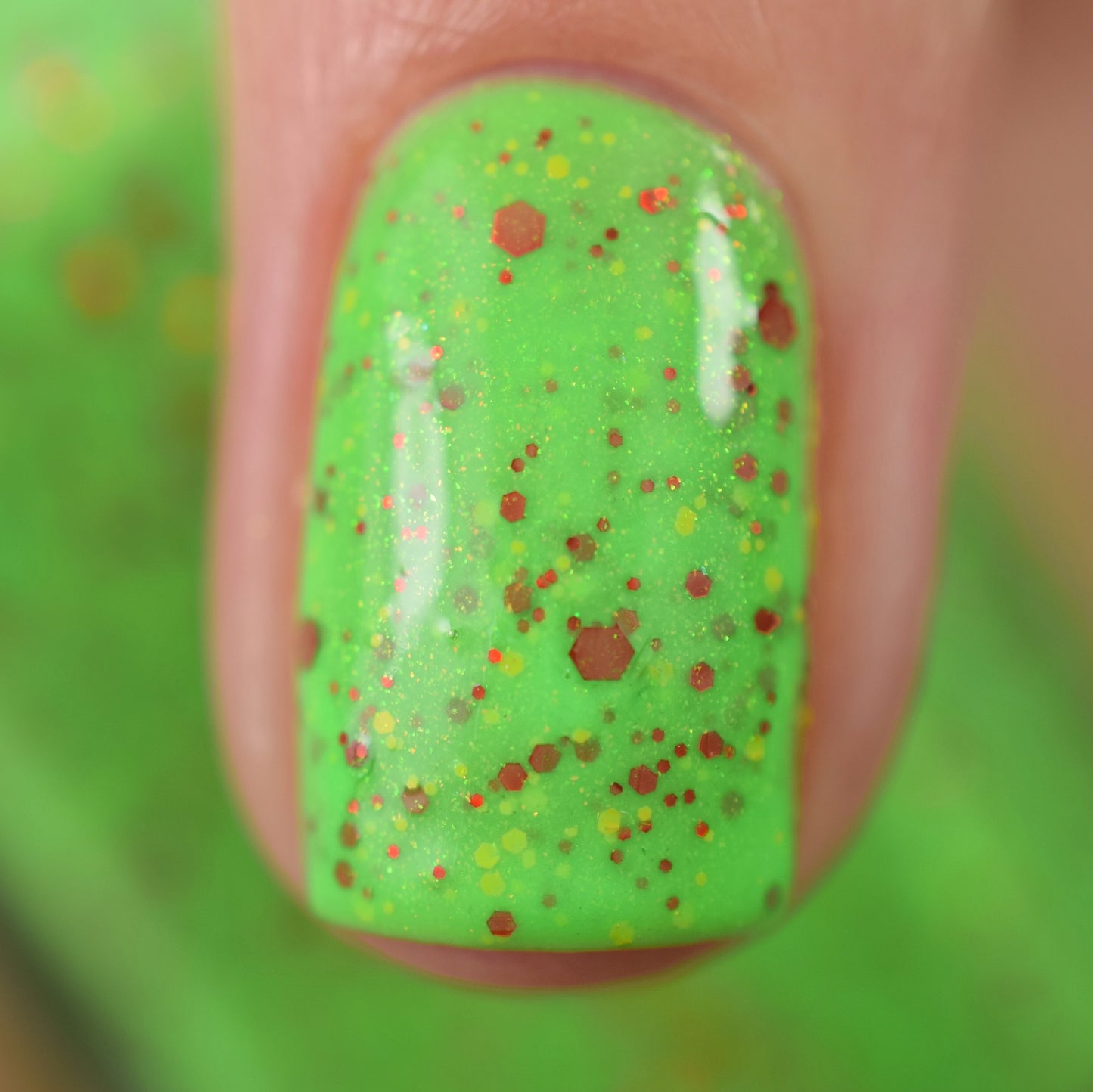 King Of The Koopas - Limited Edition