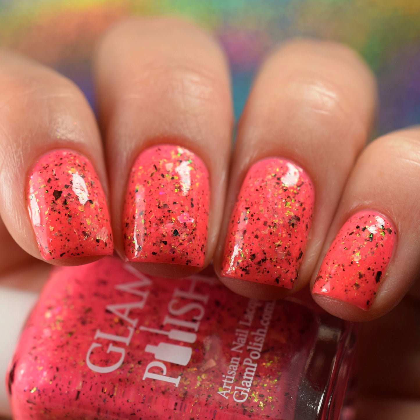 The Boss Beach - Limited Edition