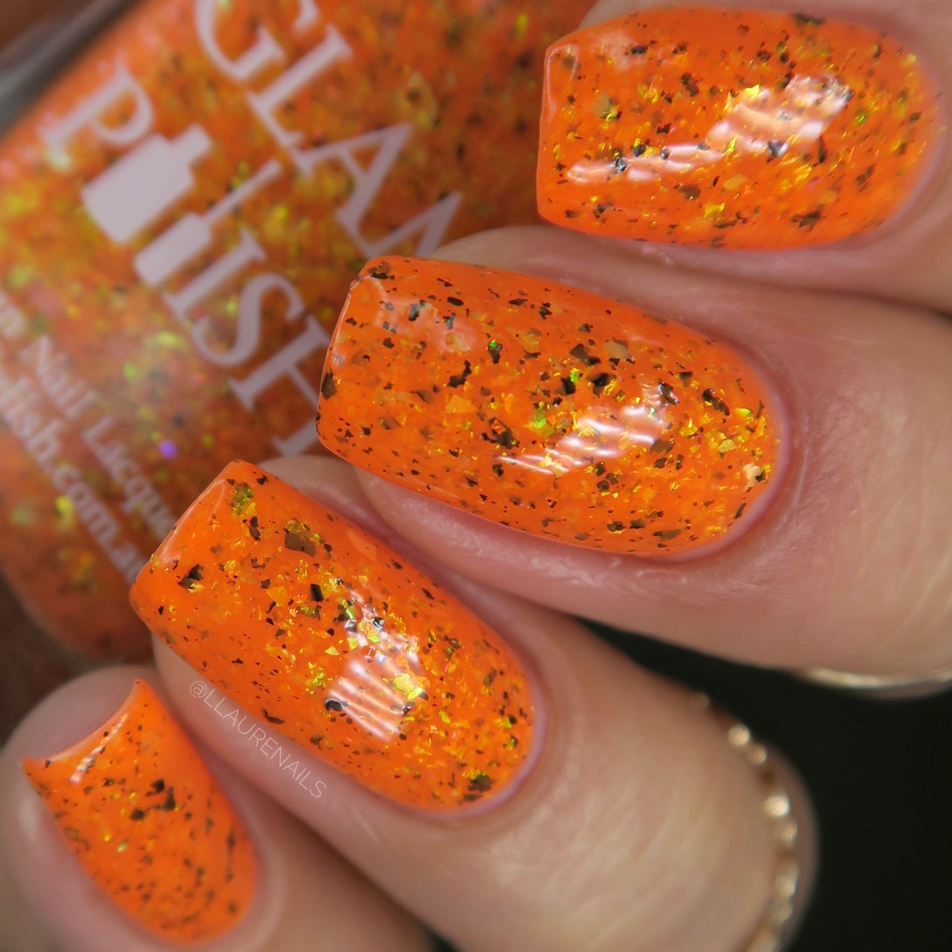 Fin-tastic! - Limited Edition