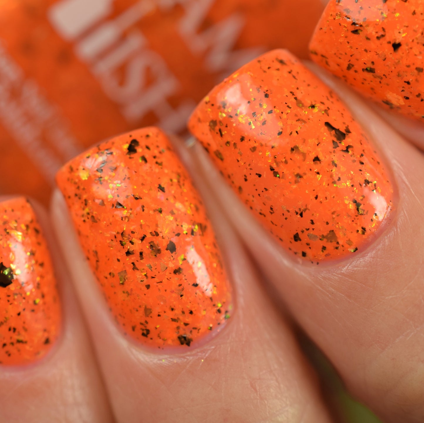 Fin-tastic! - Limited Edition