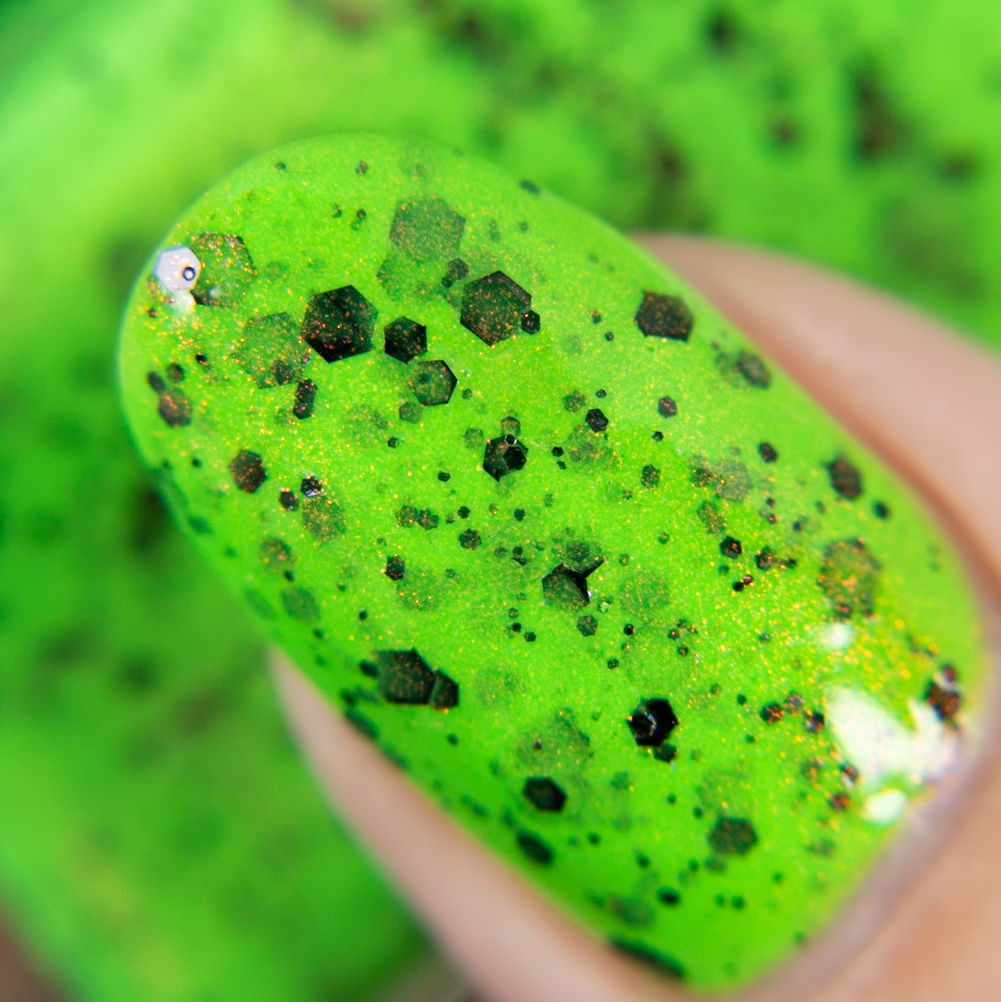 The Other Mother - Limited Edition