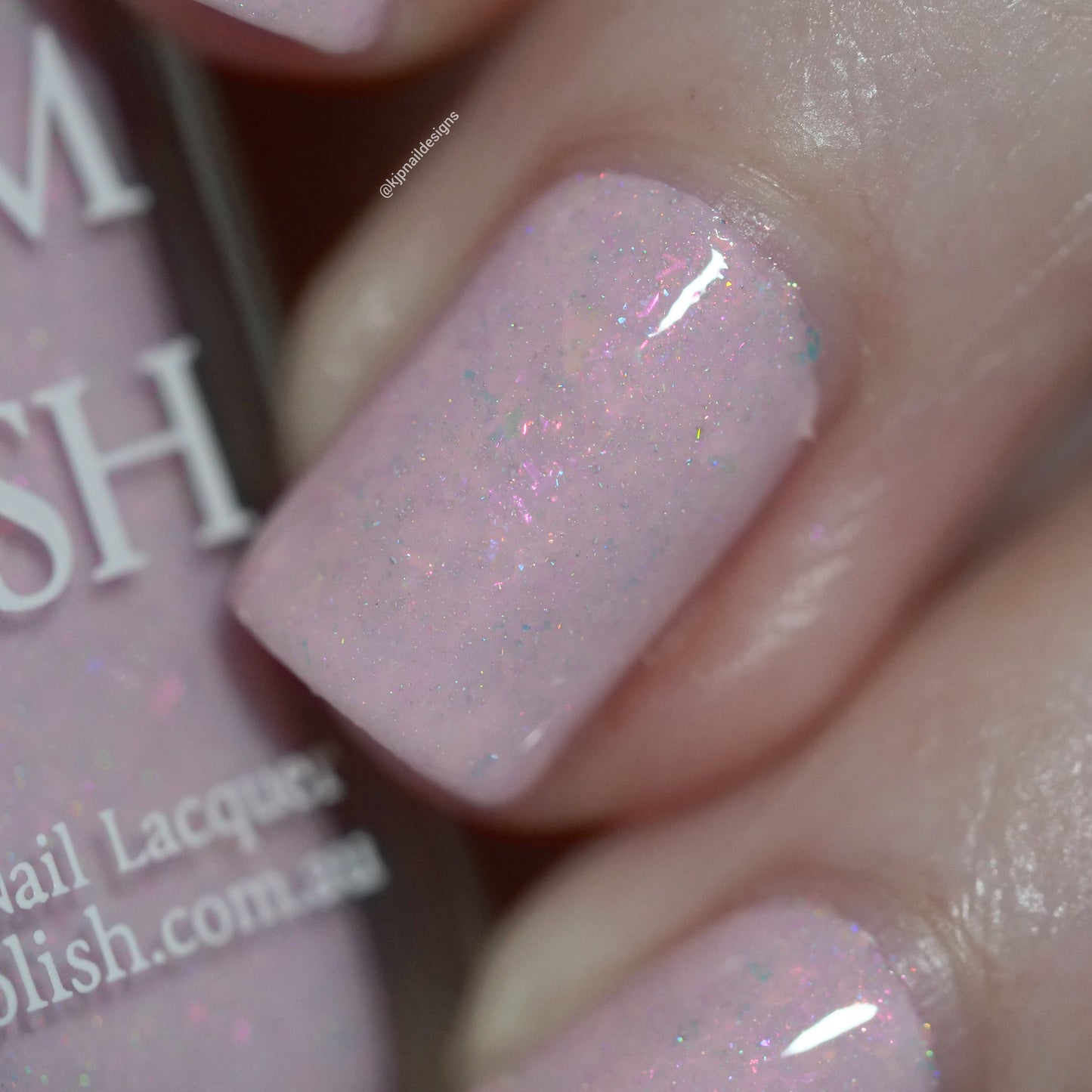 Sweet Seekers - Limited Edition