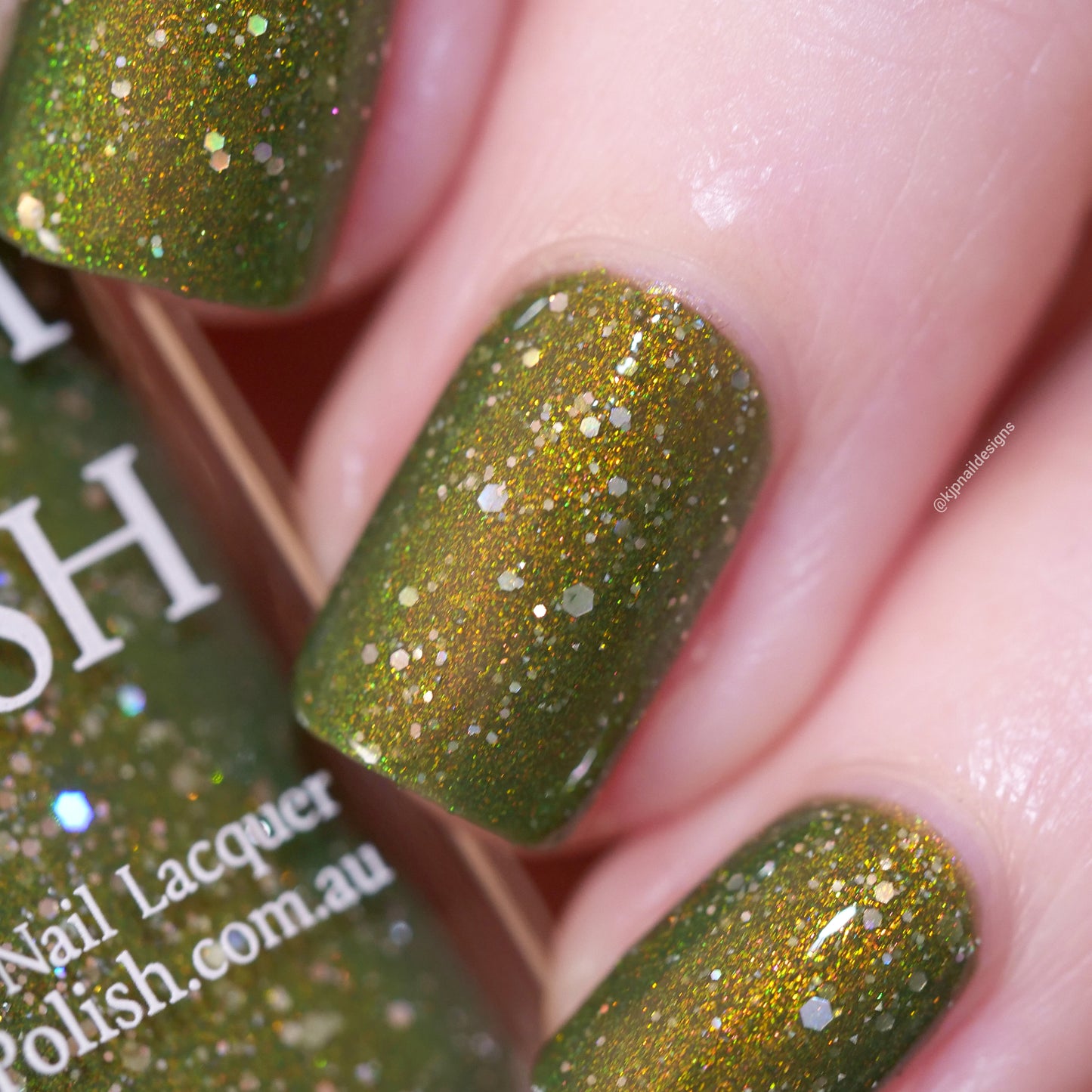 The House Always Wins