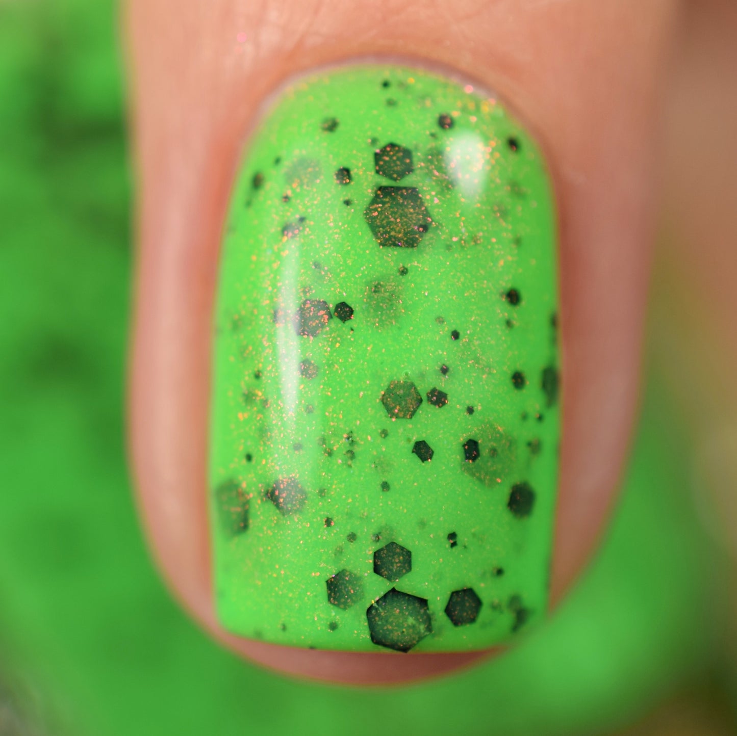 The Other Mother - Limited Edition