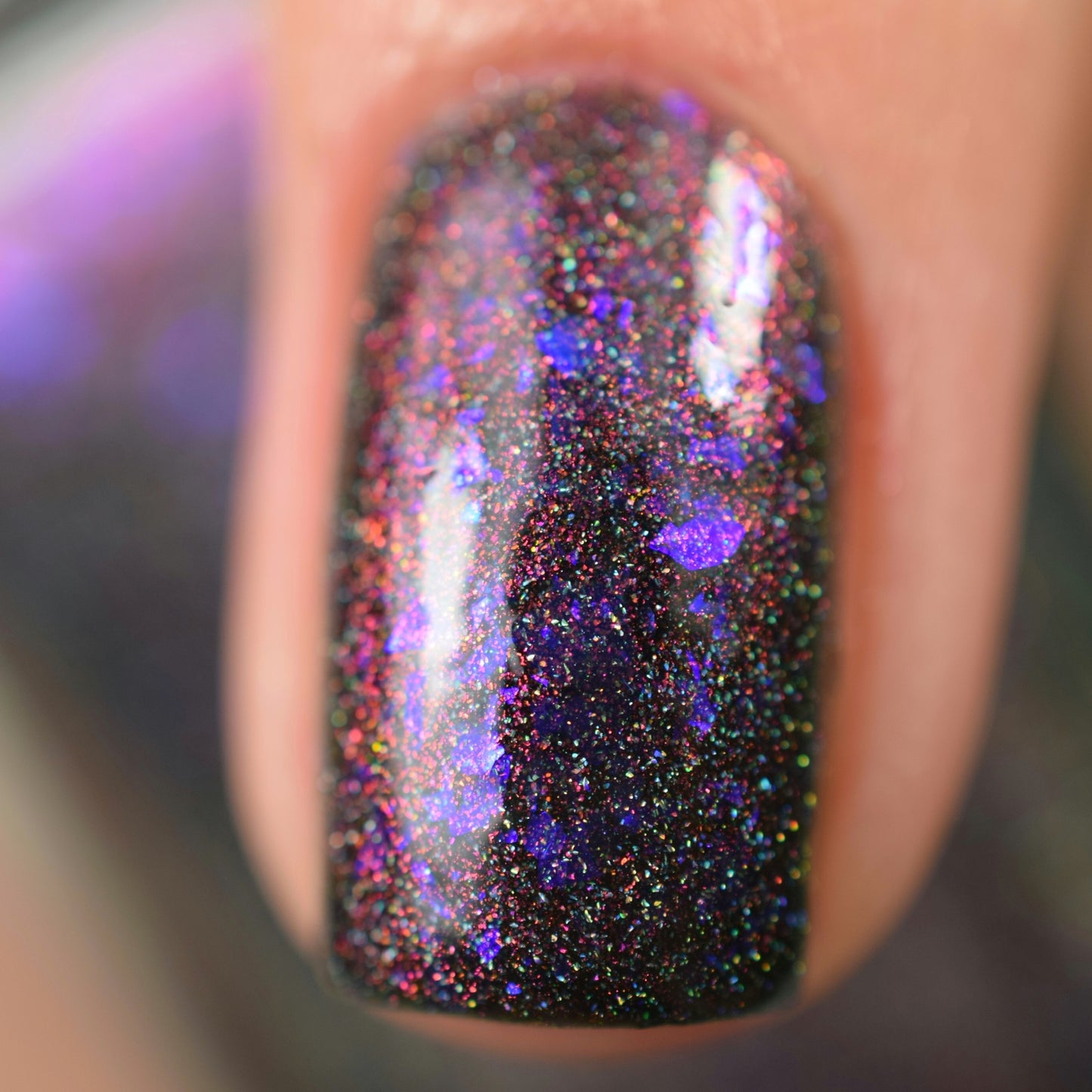 Orion - Limited Edition