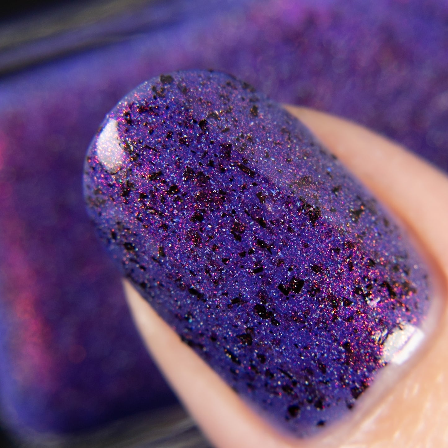 I Know The Suspense Is Killing You - Limited Edition