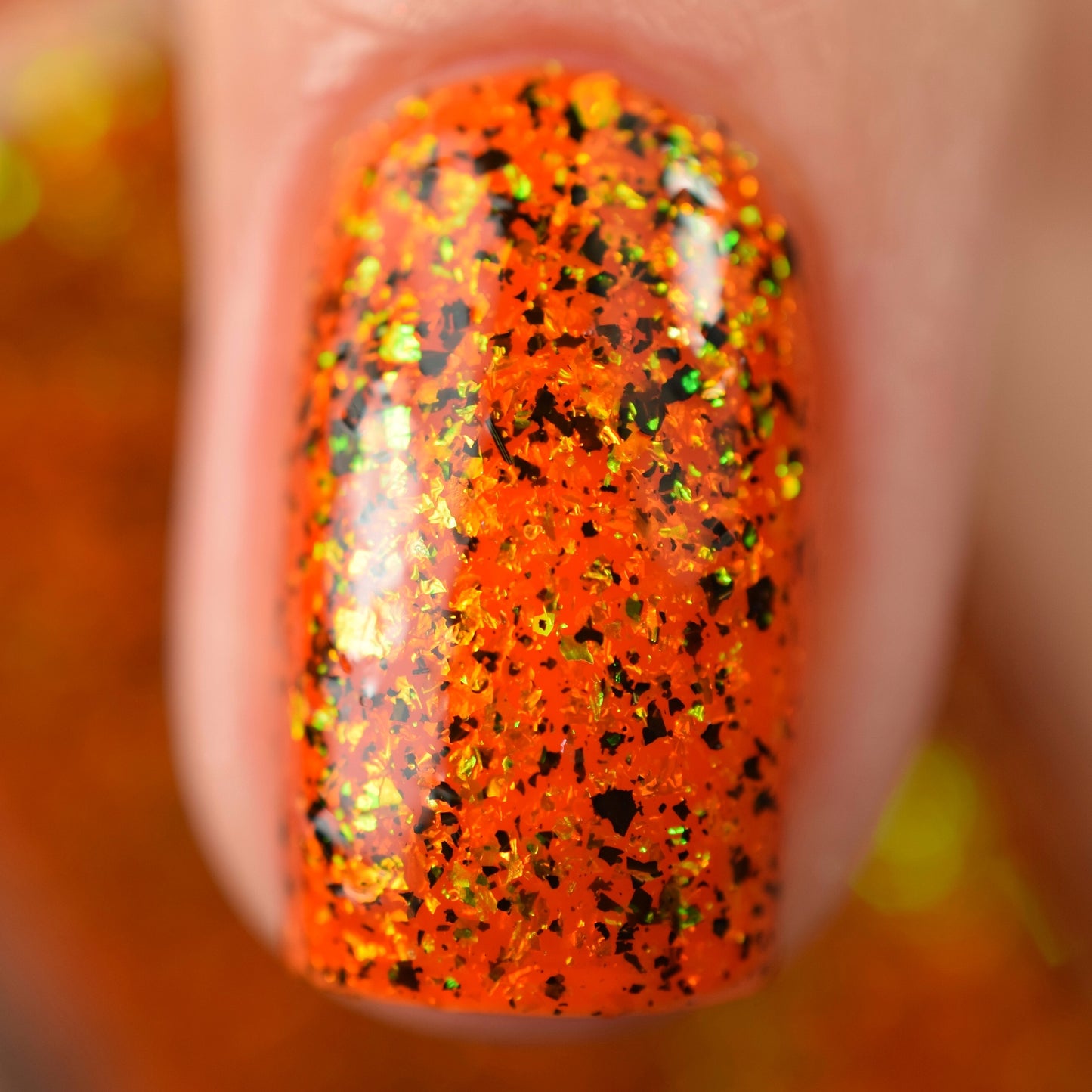 You Hag! - Limited Edition