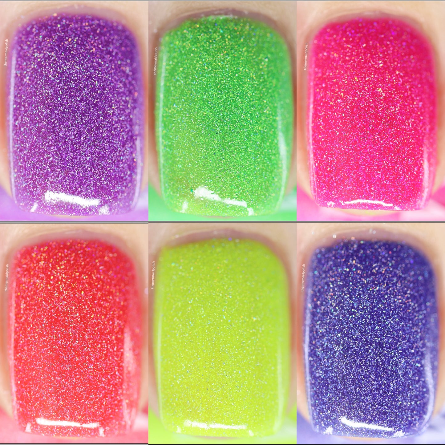 Key West Holos Collection - Limited Edition