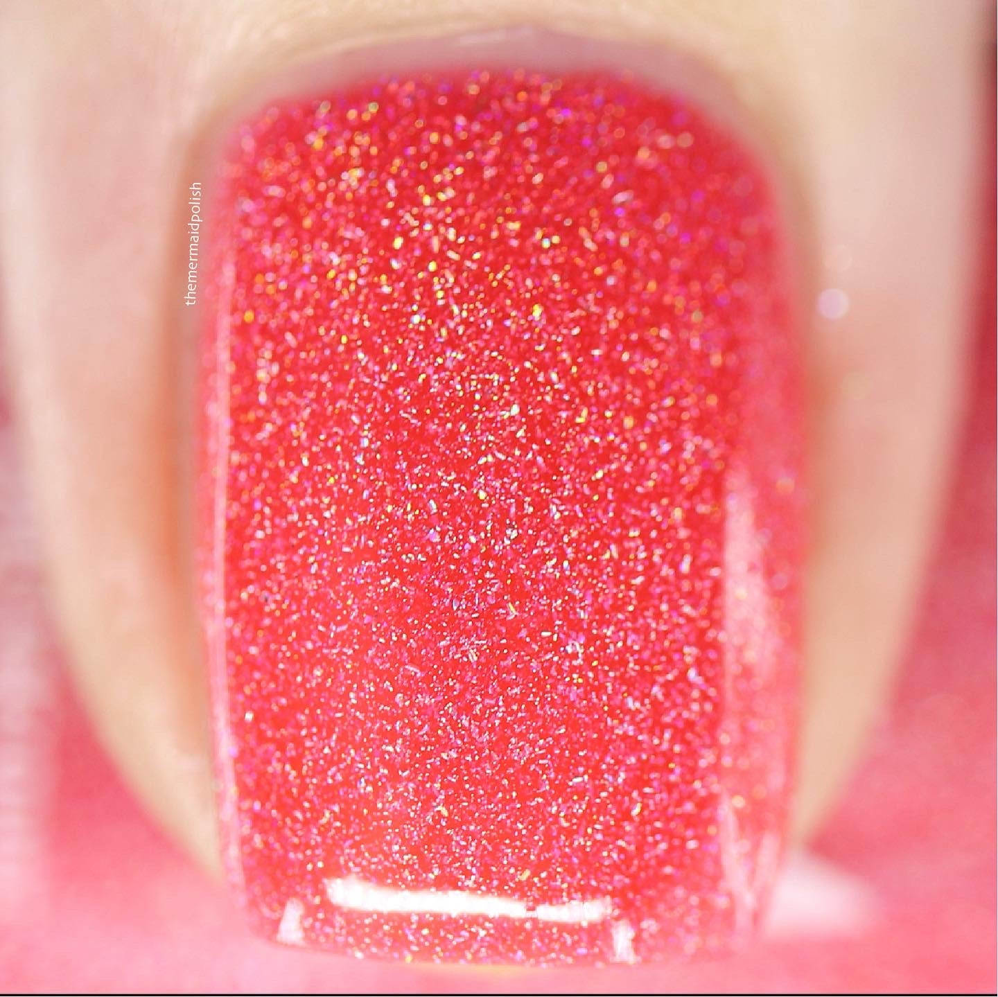 Island Time - Limited Edition