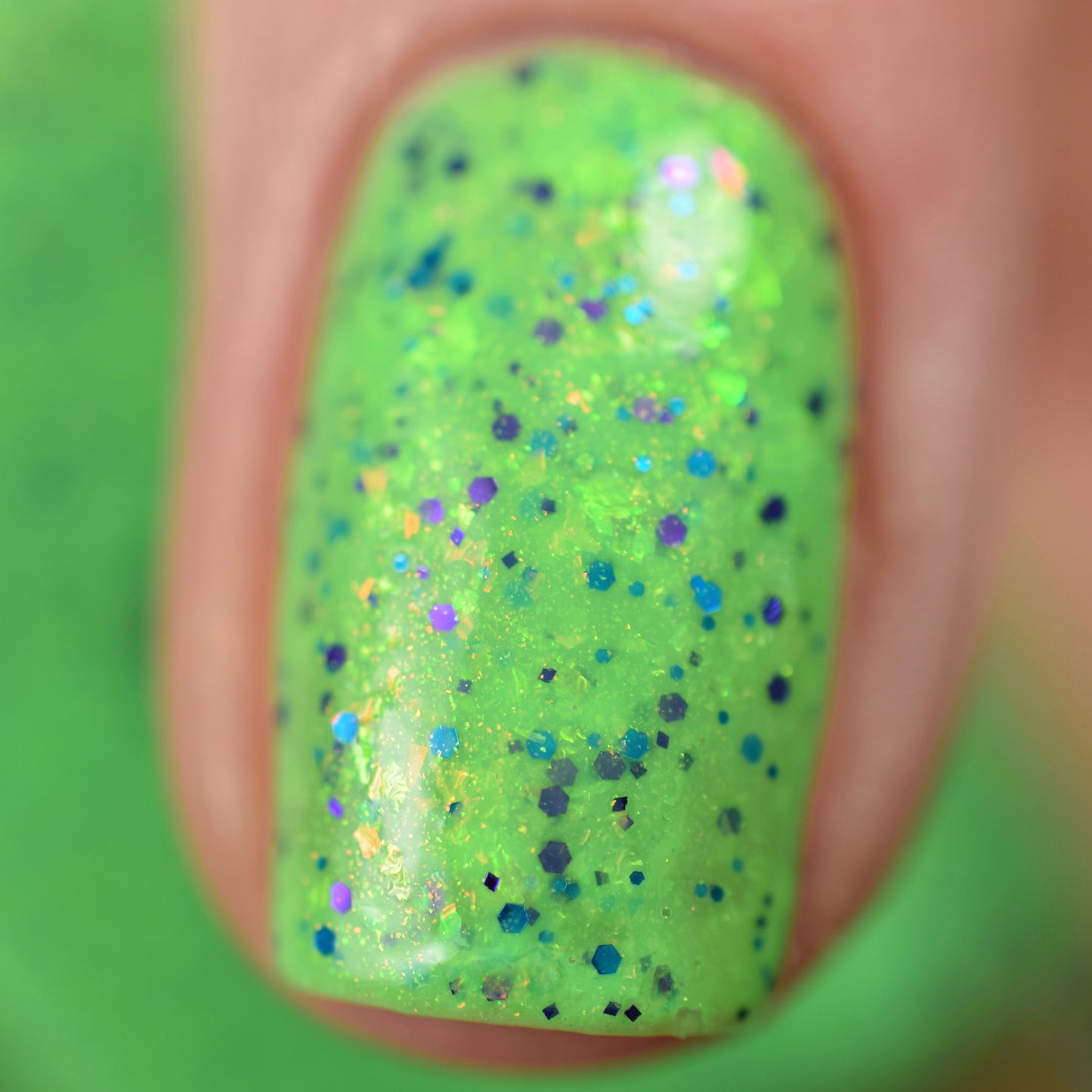 Throw Me Somethin' Mister - Limited Edition