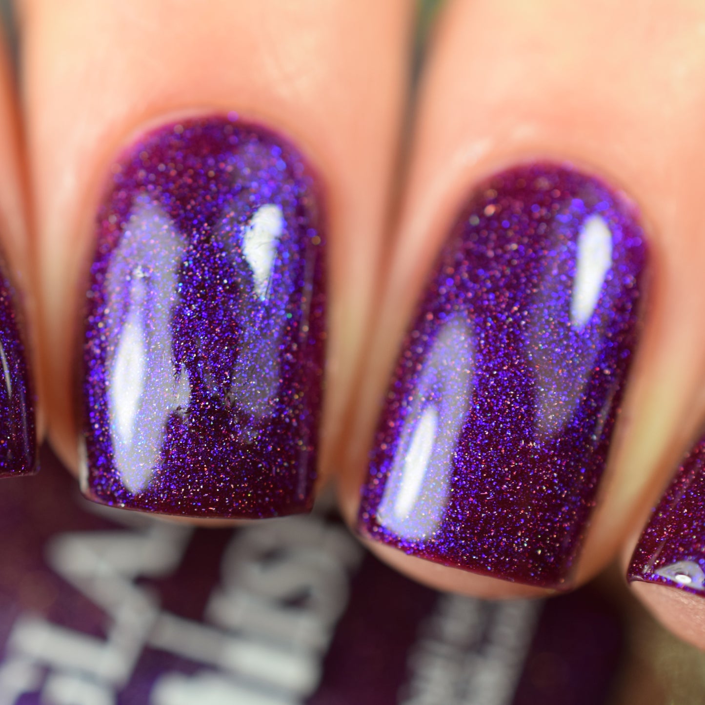 My Little Viper - Limited Edition