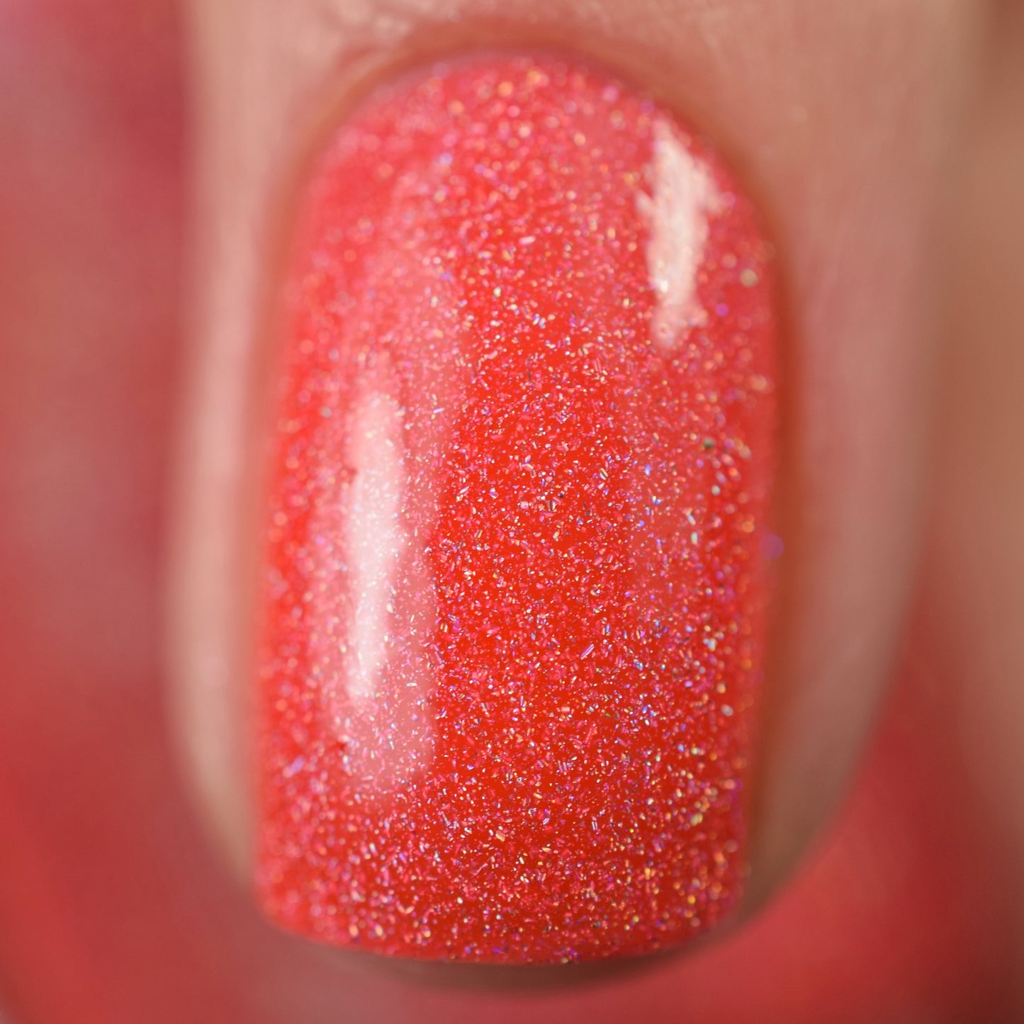 Island Time - Limited Edition