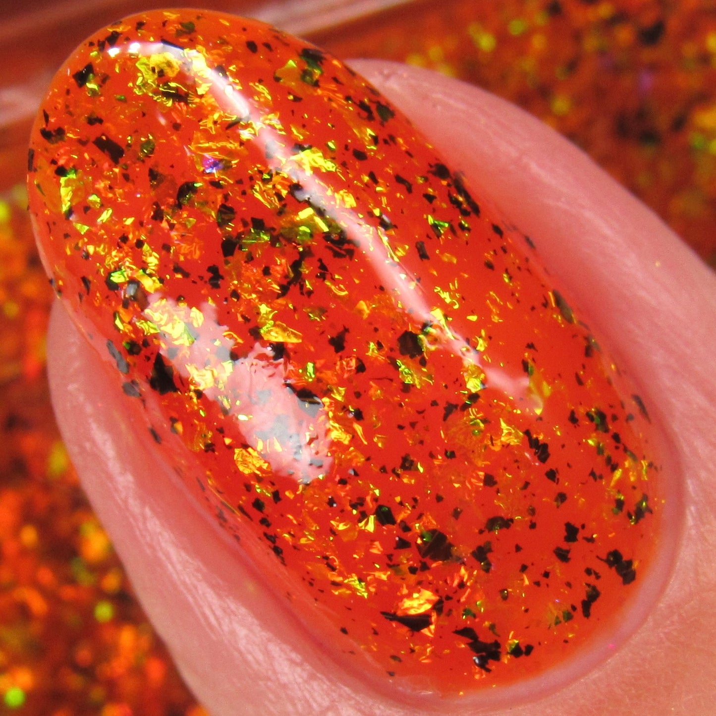 You Hag! - Limited Edition