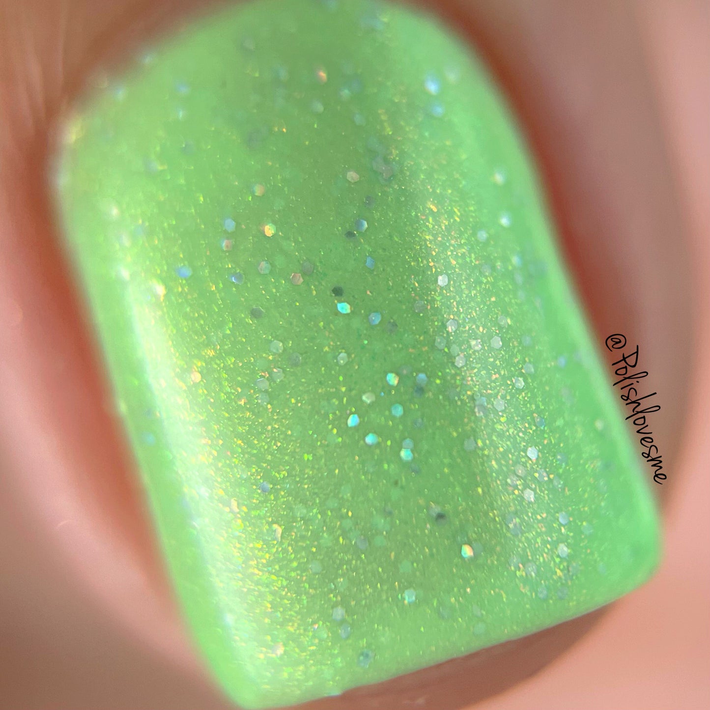 Persephone - Limited Edition