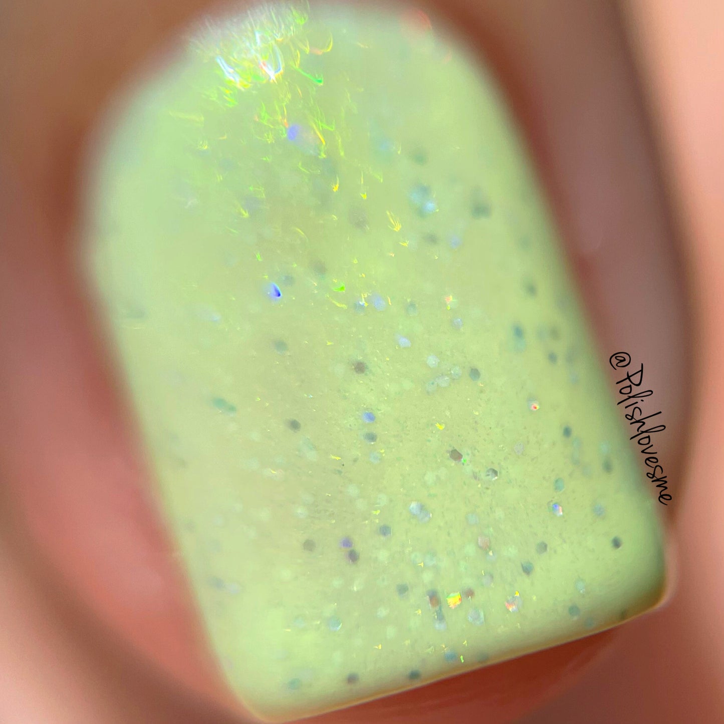 Athena - Limited Edition