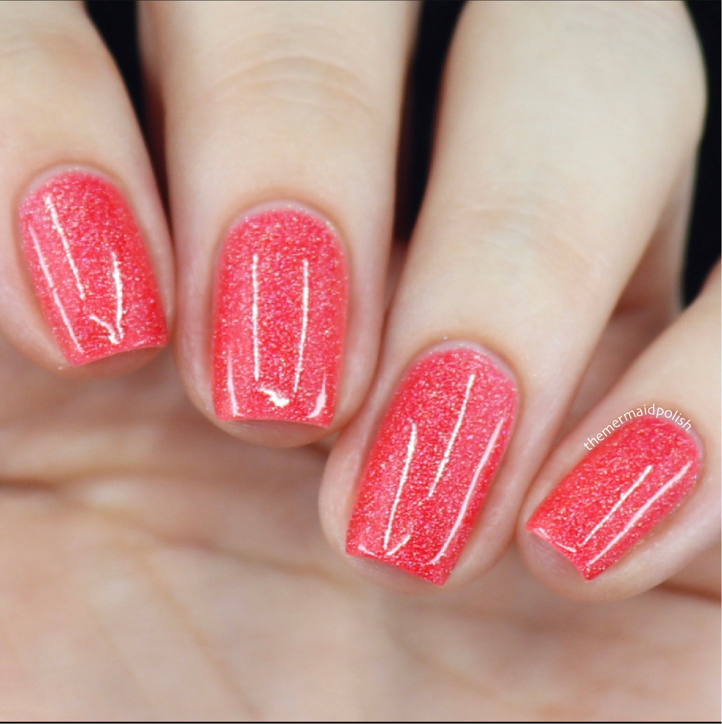 Island Time - Limited Edition