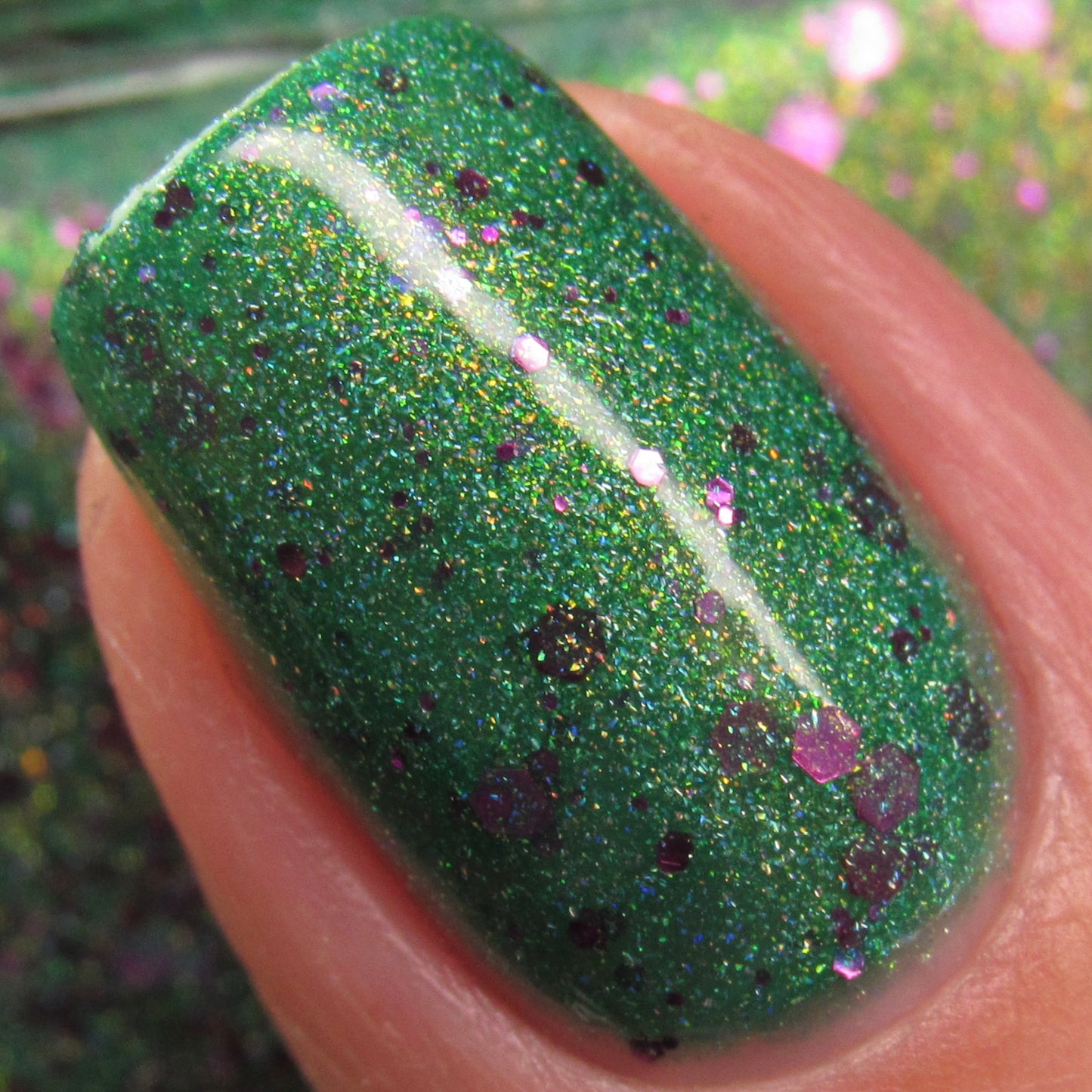 Fill Your Sails And Shake Your Trees - Limited Edition