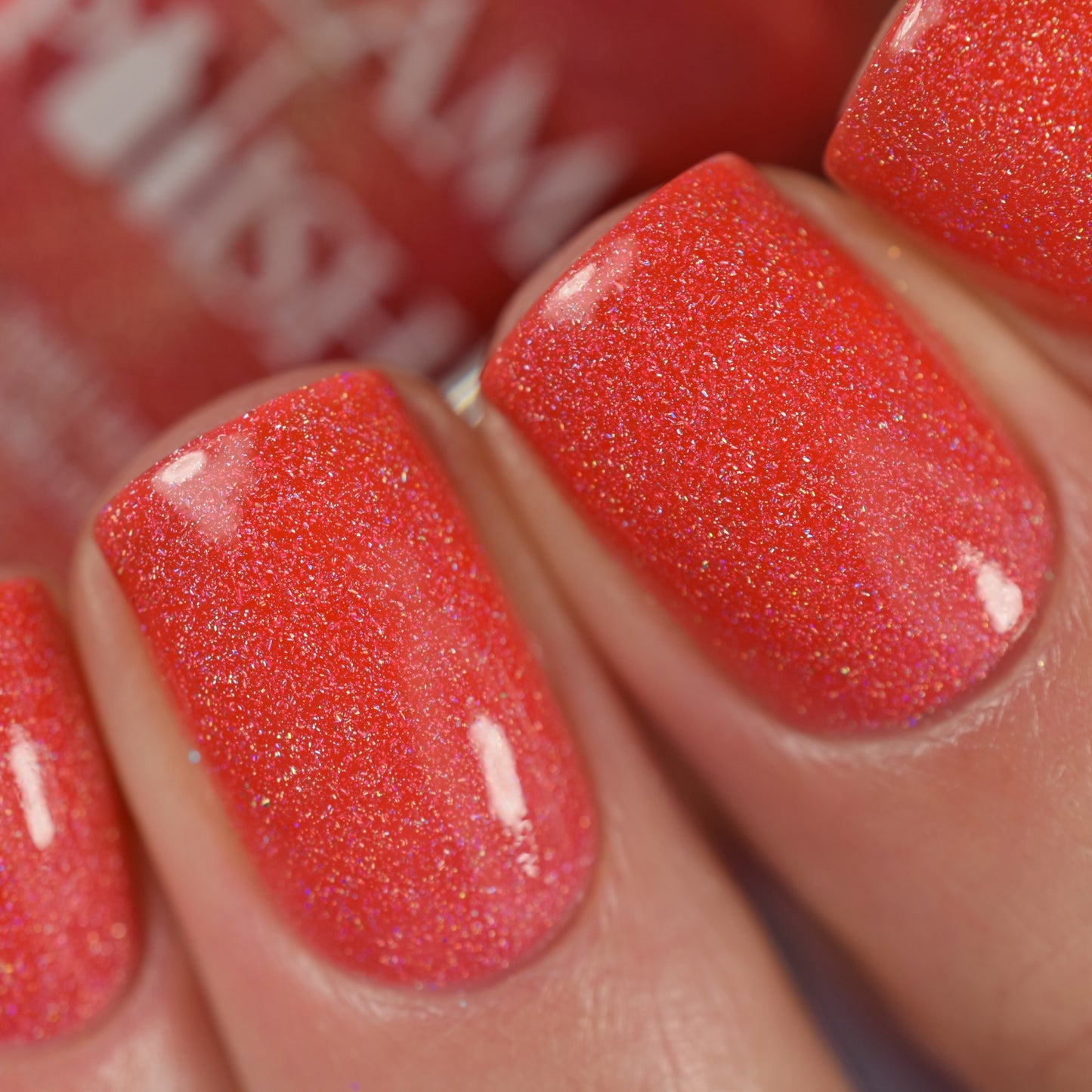 Island Time - Limited Edition