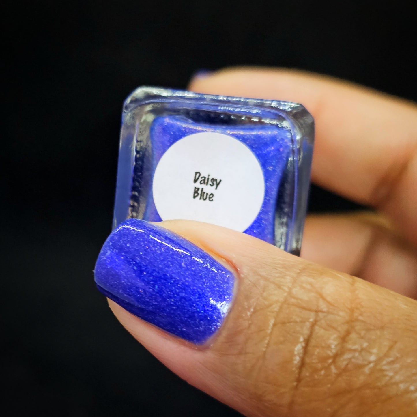 Daisy Blue - Limited Edition