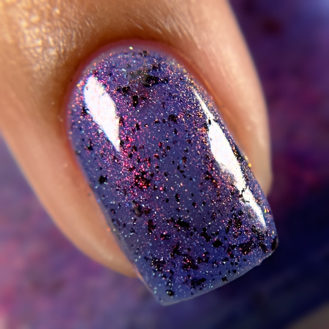 I Know The Suspense Is Killing You - Limited Edition