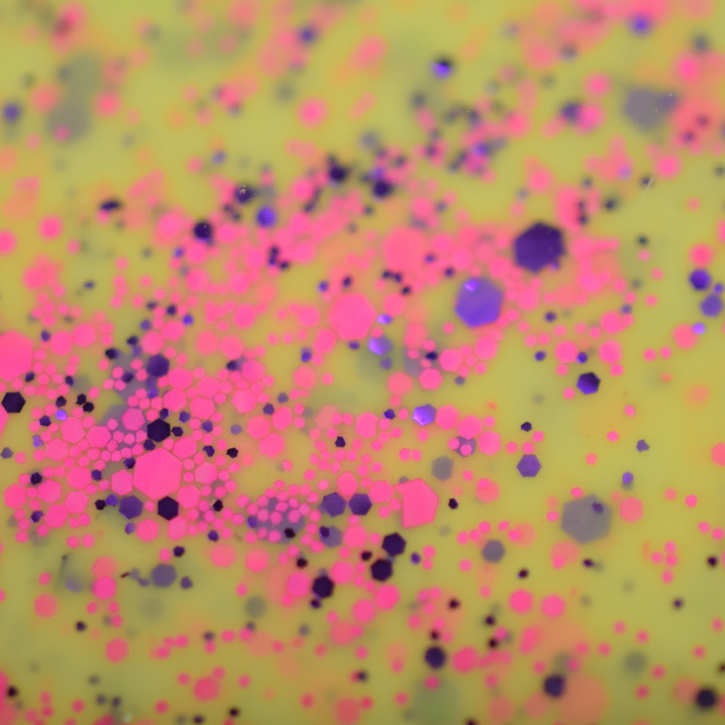 Flower, Gleam And Glow - Limited Edition