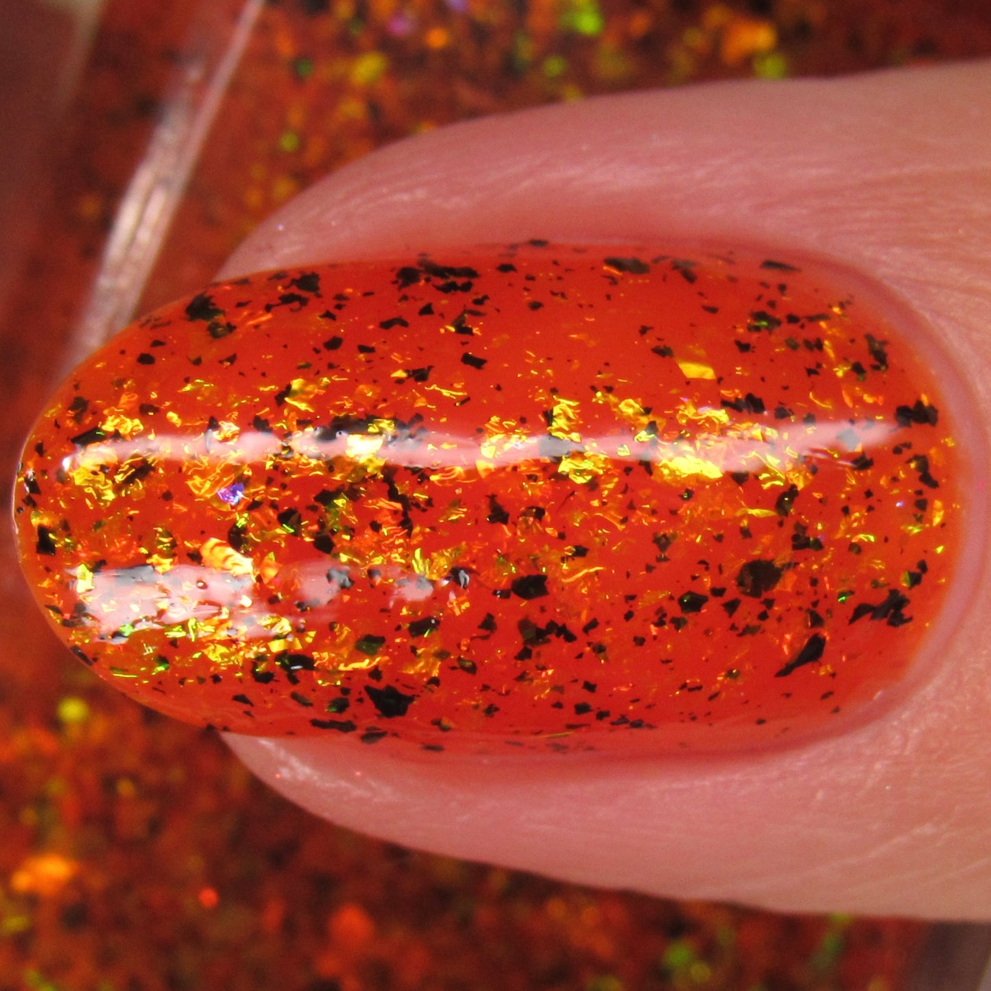 You Hag! - Limited Edition