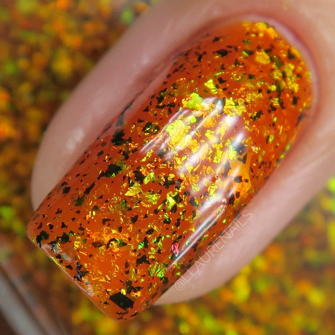 You Hag! - Limited Edition