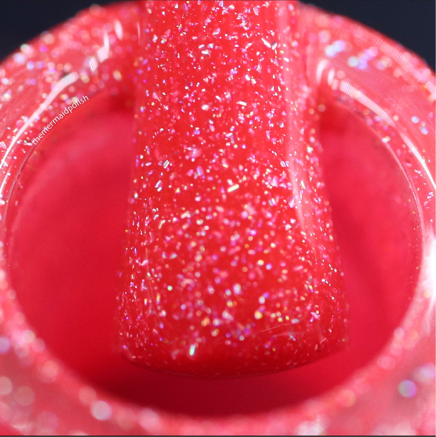 Island Time - Limited Edition