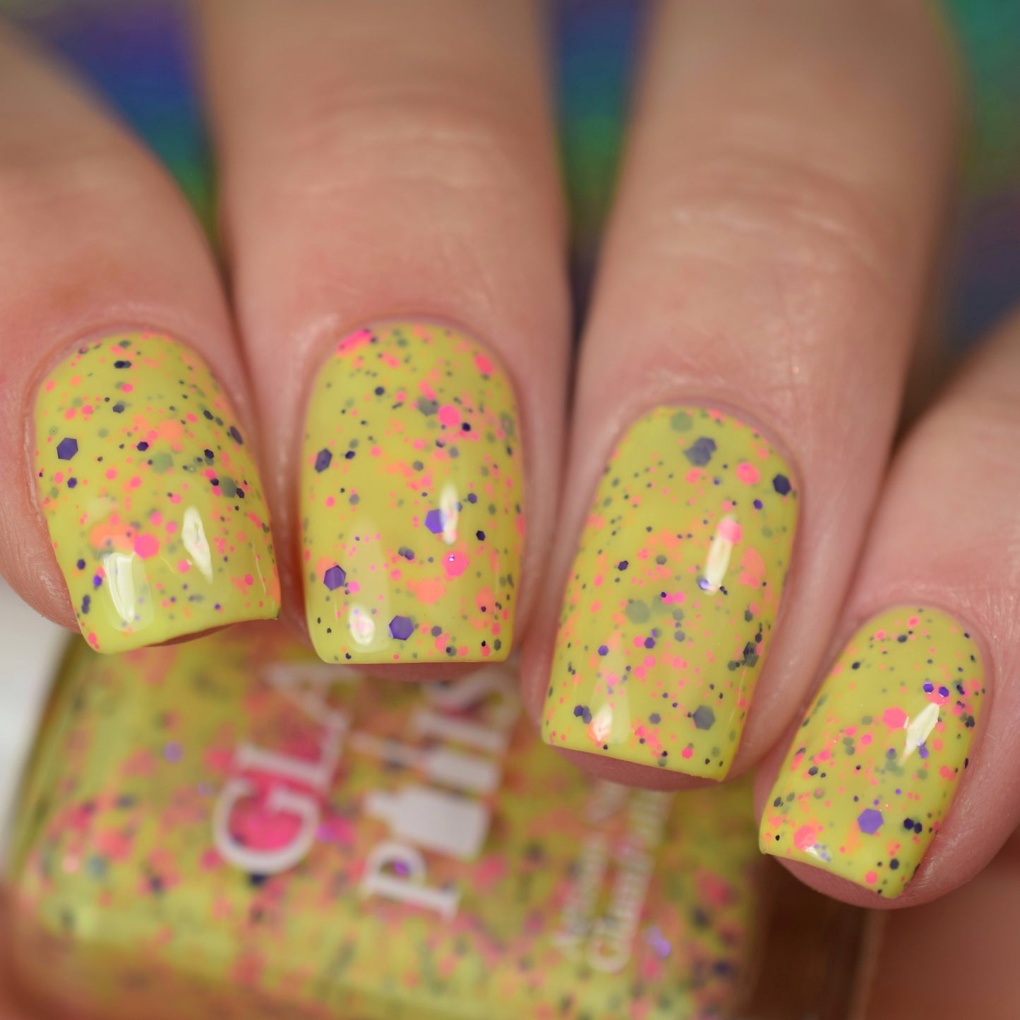 Flower, Gleam And Glow - Limited Edition