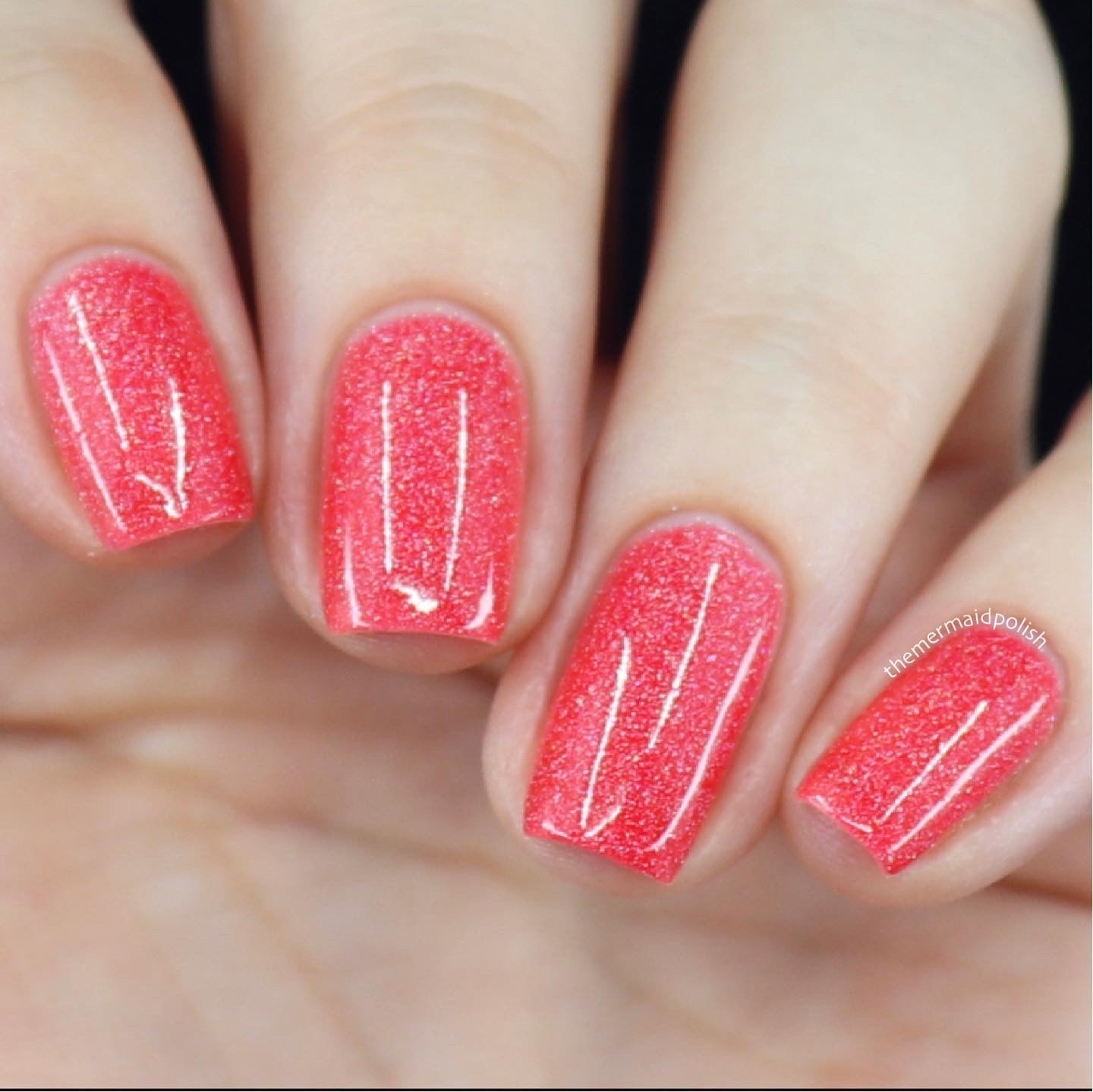 Island Time - Limited Edition