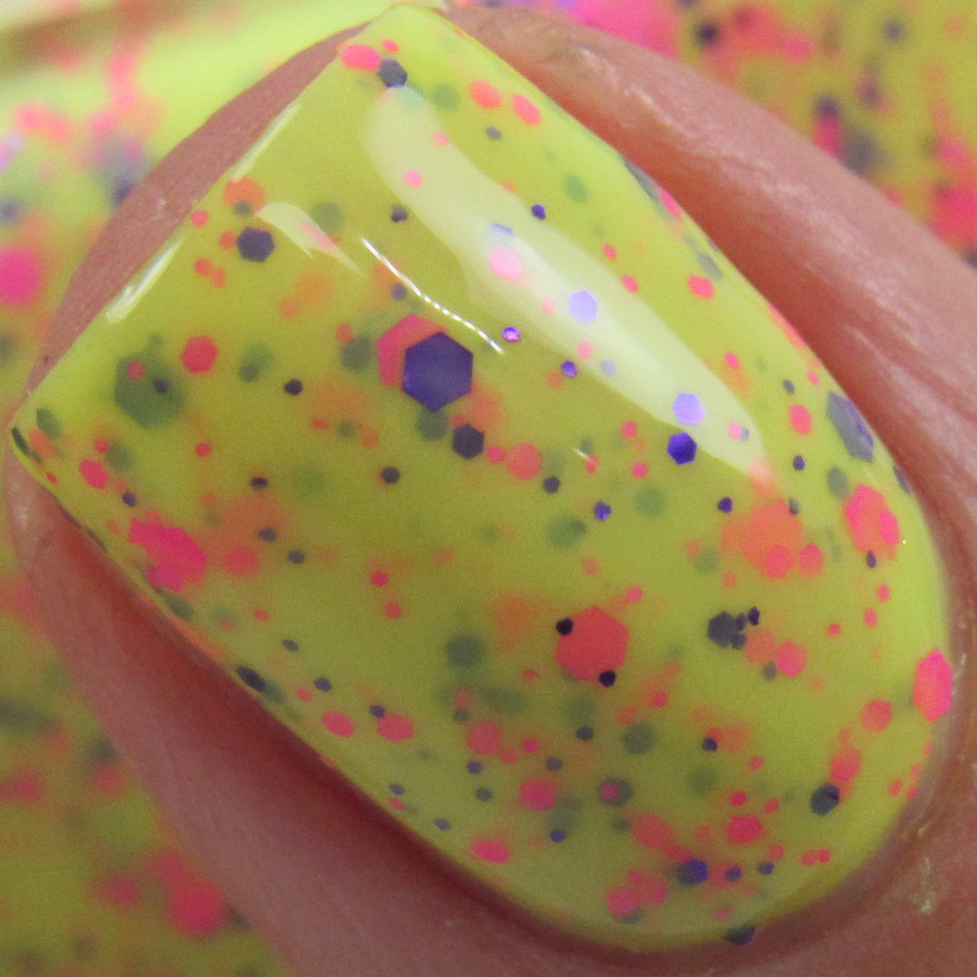 Flower, Gleam And Glow - Limited Edition