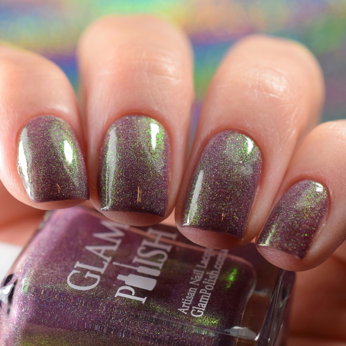 The Undying King - Limited Edition