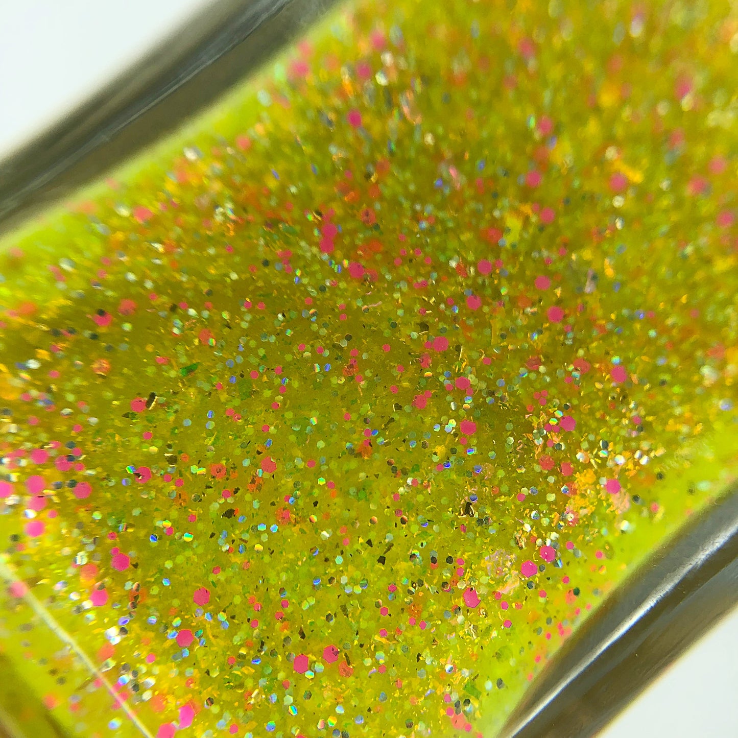 Good Morning, Lucy - Limited Edition