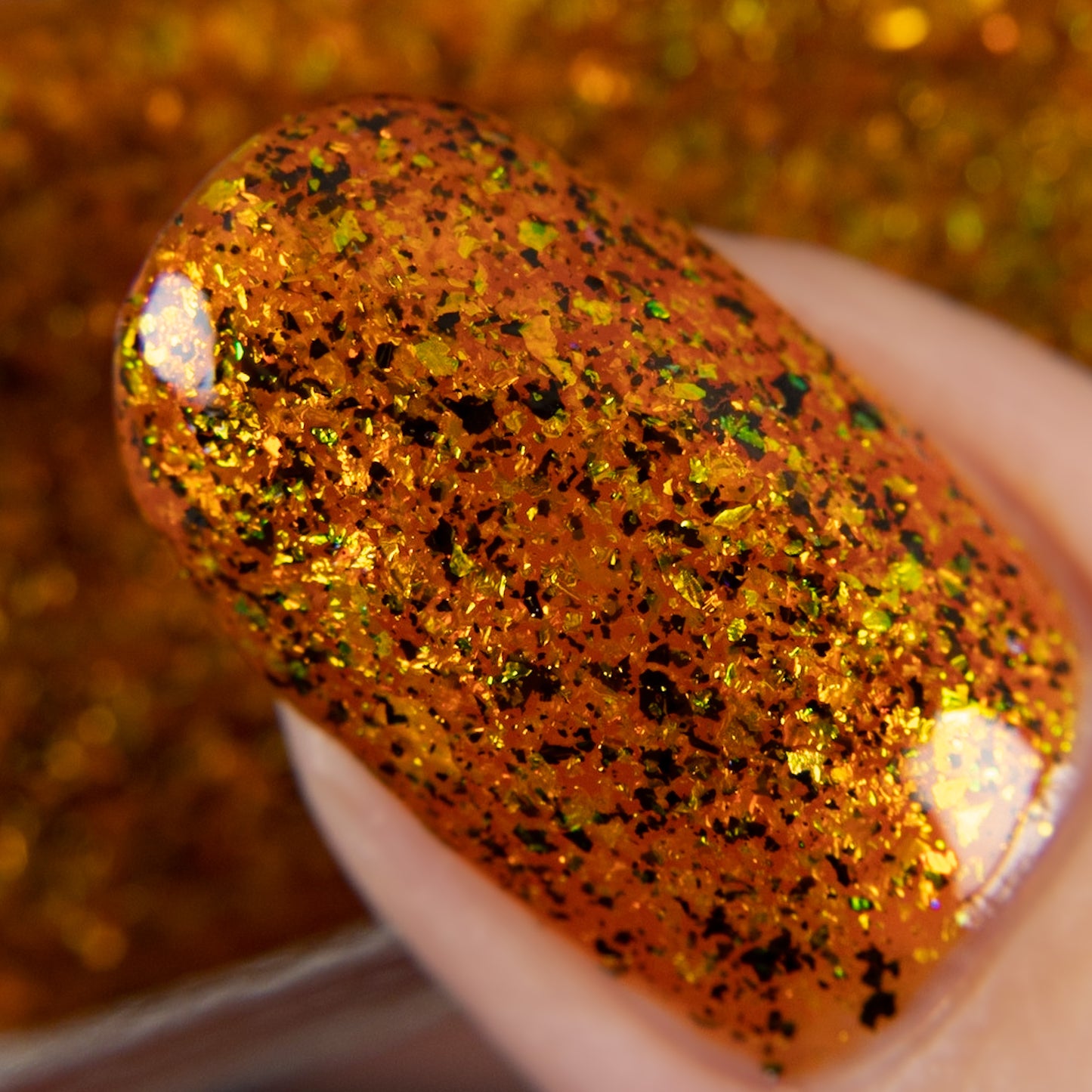 You Hag! - Limited Edition