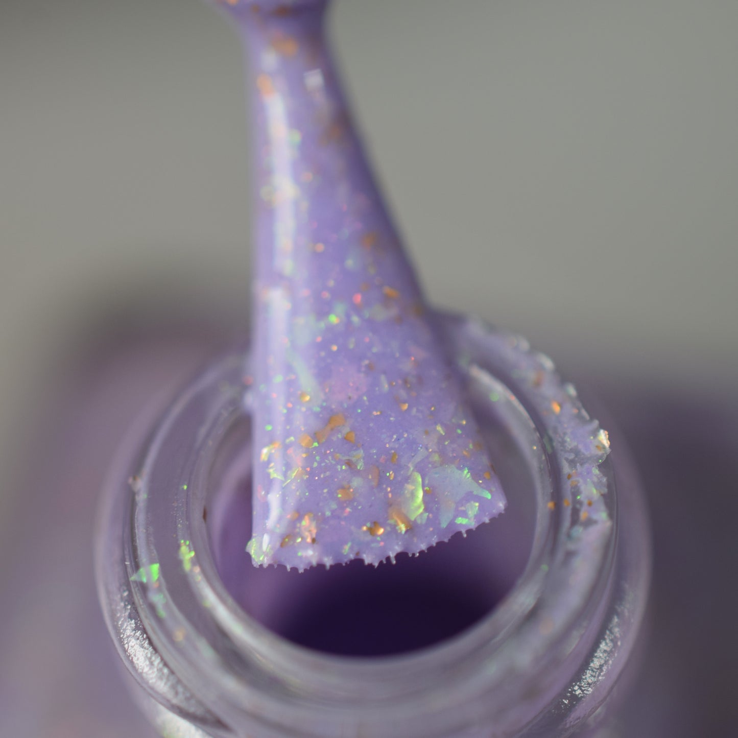 The Blooms And The Honeycomb - Limited Edition