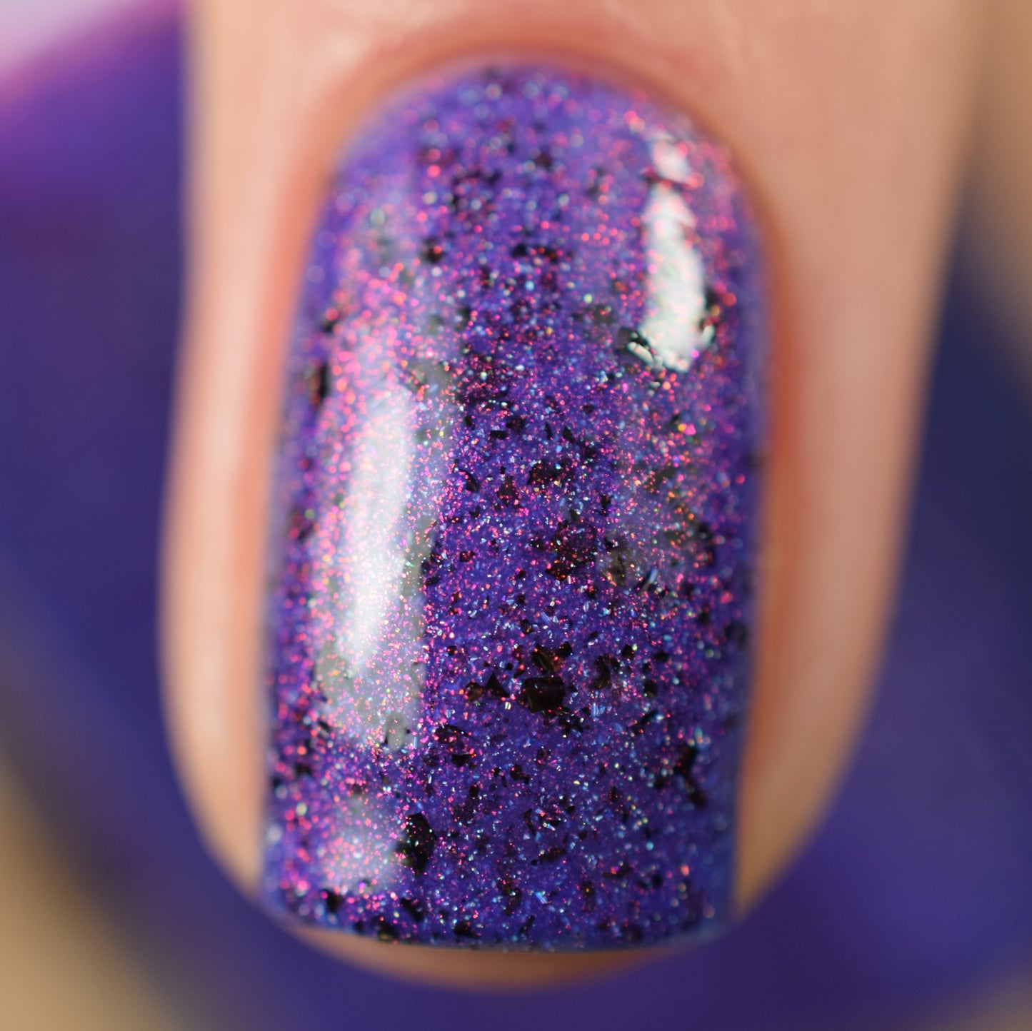 I Know The Suspense Is Killing You - Limited Edition