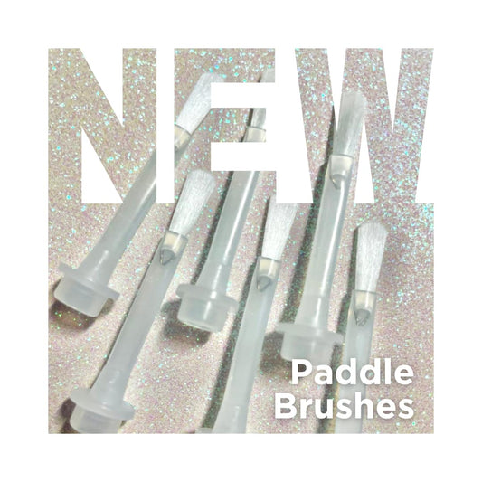 Paddle Brush - 6 Pieces