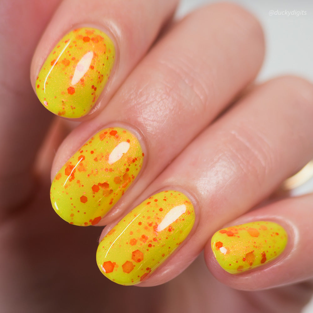 Bright Light! Bright Light! - Halloween Horror Shop SPECIAL EDITION