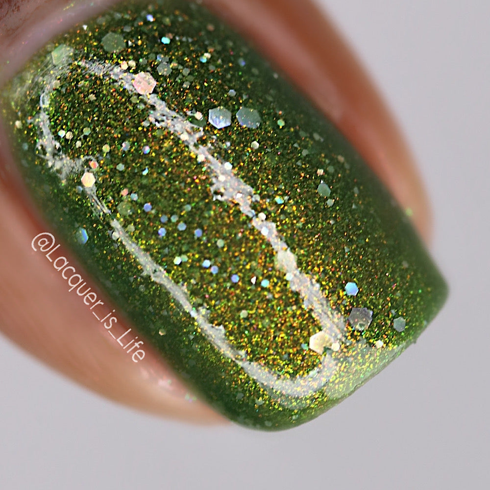 The House Always Wins