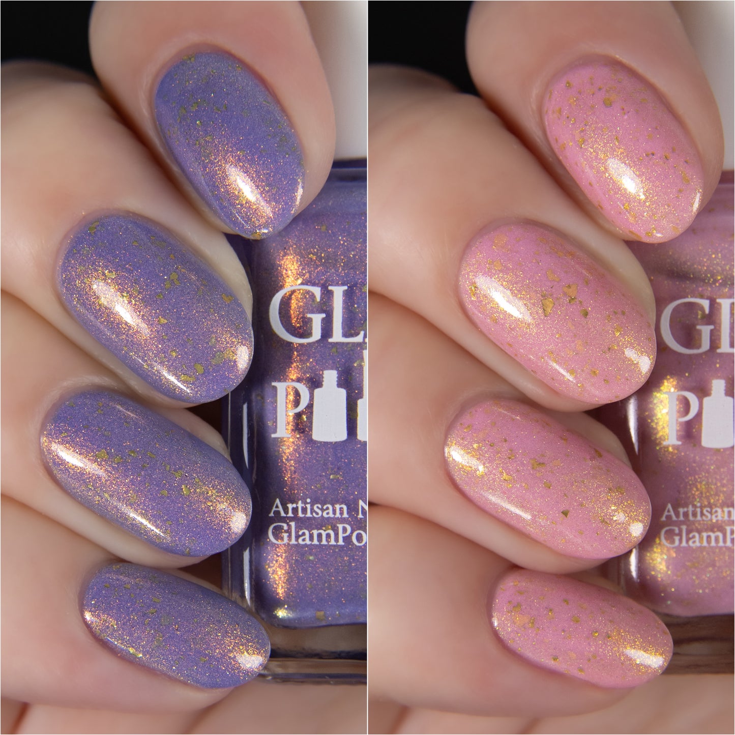 SHIMMAHS Group Custom Duo - Limited Edition