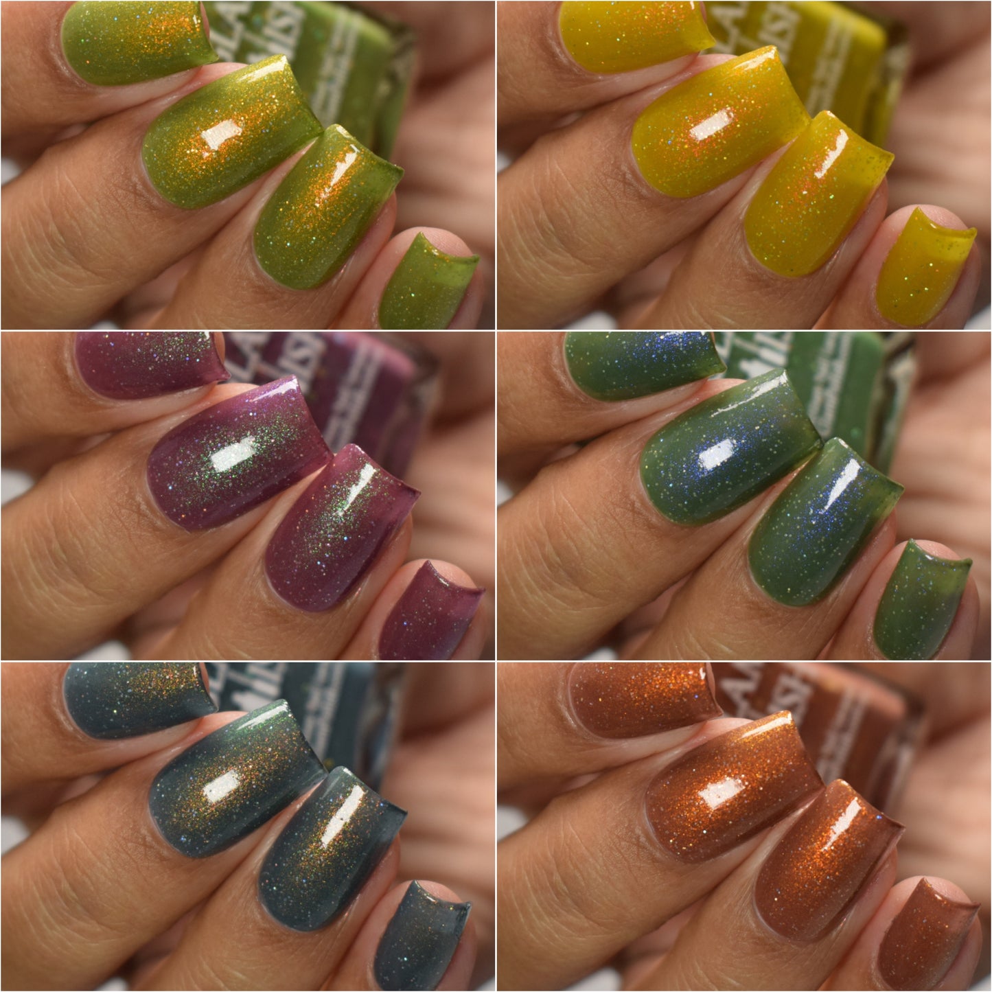 Pretty Ugly Collection