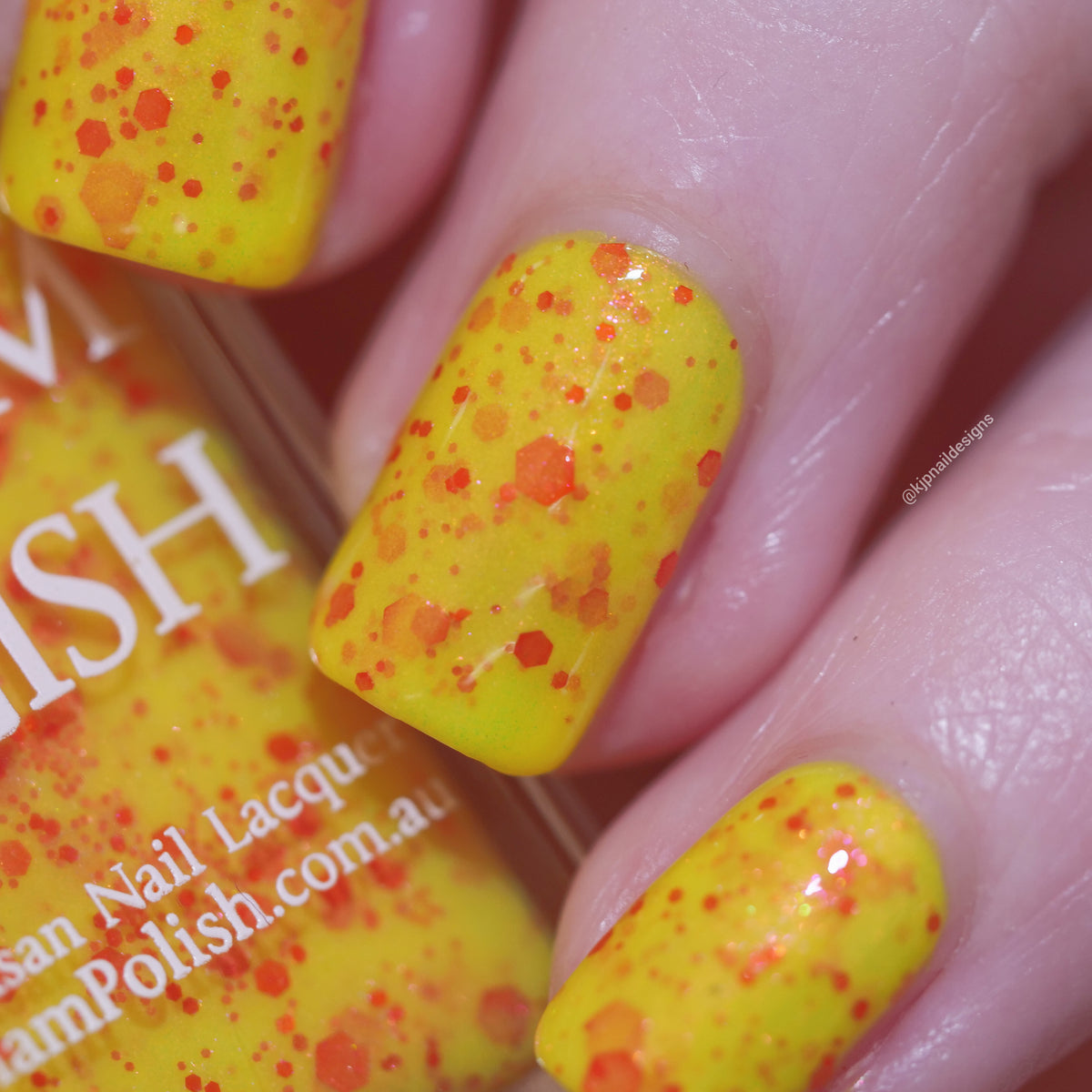 Bright Light! Bright Light! - Halloween Horror Shop SPECIAL EDITION