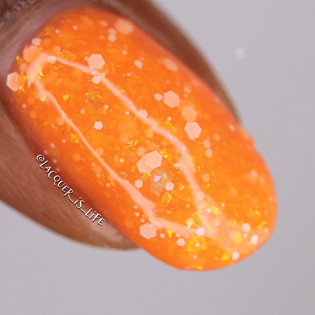 Nobody Cares Like A Bear